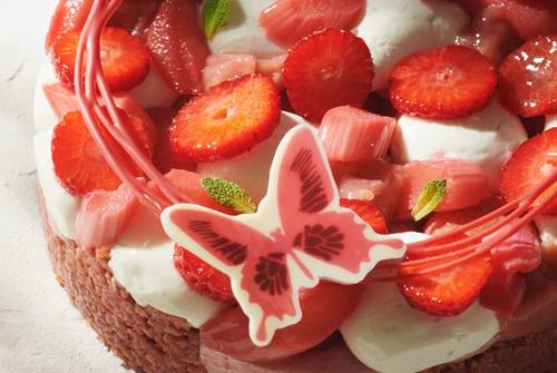 Tarte rhubarbe fraise 