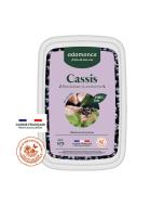 cassis blackdown andorine puree 1kg par adamance